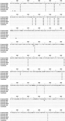 Tolerance to Some ACCase Inhibitors in Four Common Roegneria (Roegneria kamoji) Populations From China